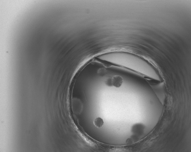 X0000080100894200612221736