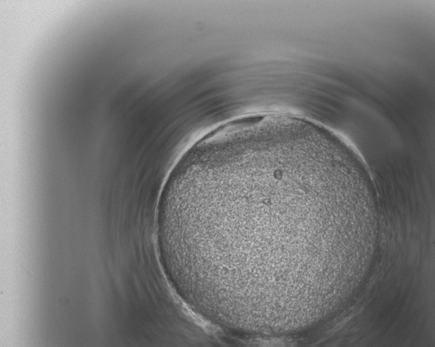 X0000080100895200612221736