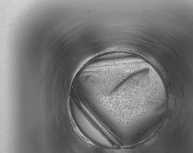 X0000080100896200612221736