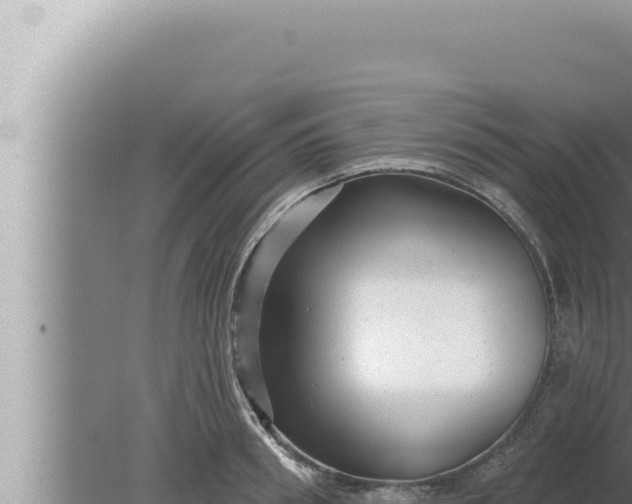 X0000080100898200612221735