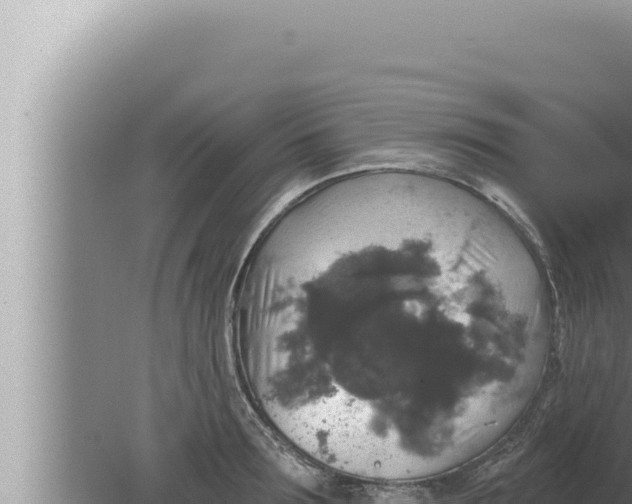 X0000080100899200612221735