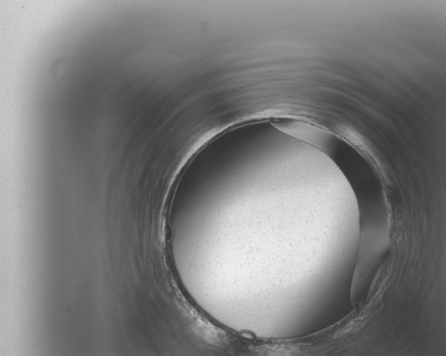 X0000080100900200612221735