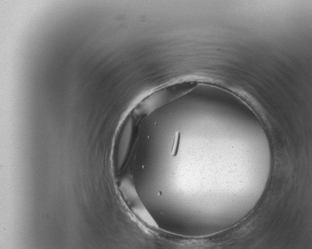 X0000080100902200612221735