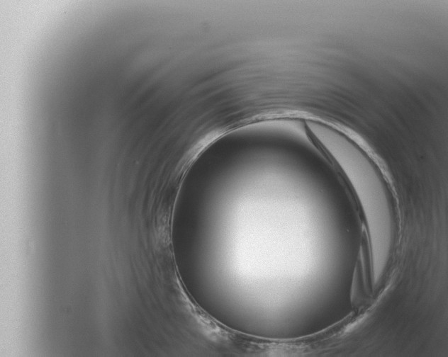 X0000080100905200612221735