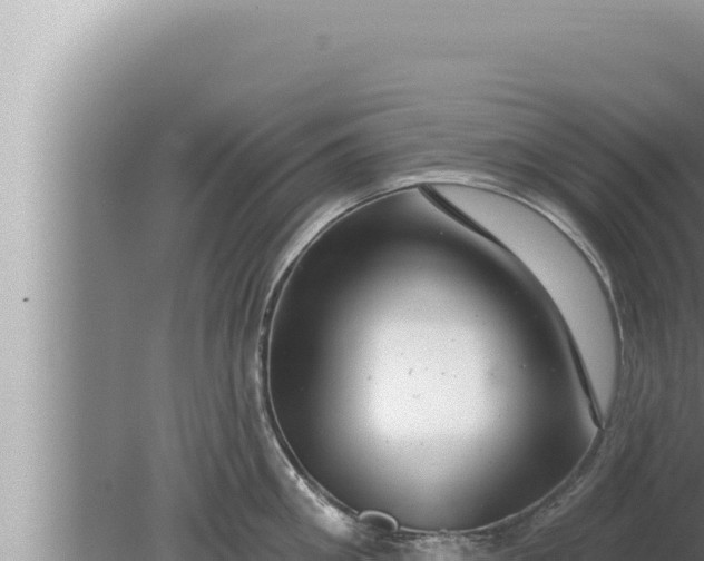 X0000080100906200612221735