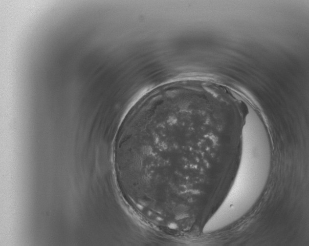 X0000080100907200612221735