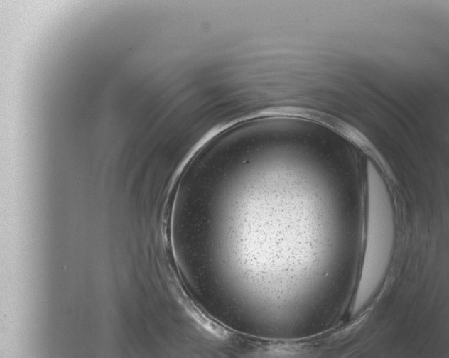 X0000080100908200612221735