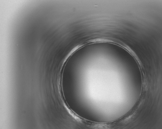 X0000080100909200612221735