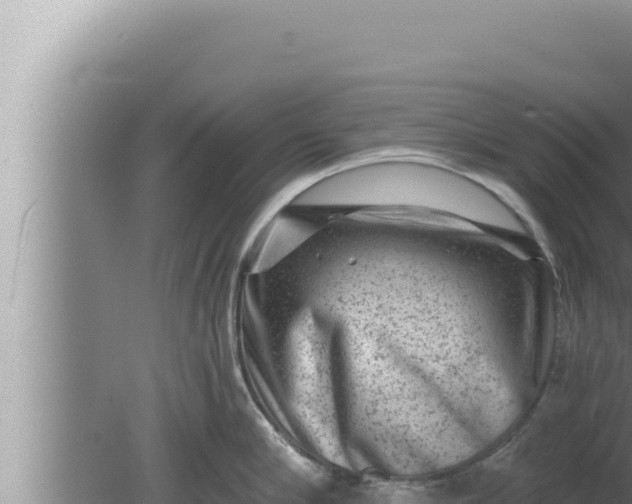 X0000080100910200612221735