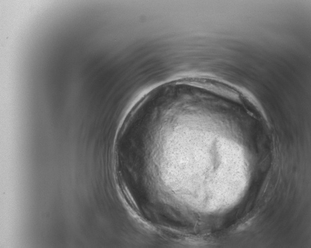 X0000080100911200612221735