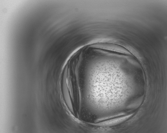 X0000080100912200612221735