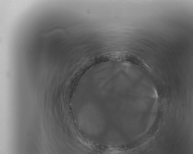 X0000080100913200612221734