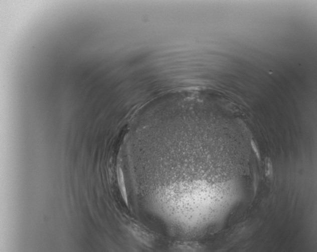 X0000080100915200612221734