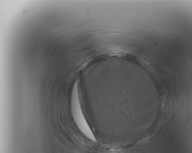 X0000080100916200612221734