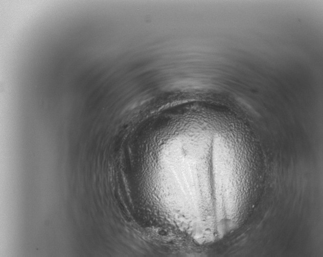 X0000080100917200612221735