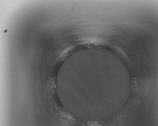 X0000080100918200612221735