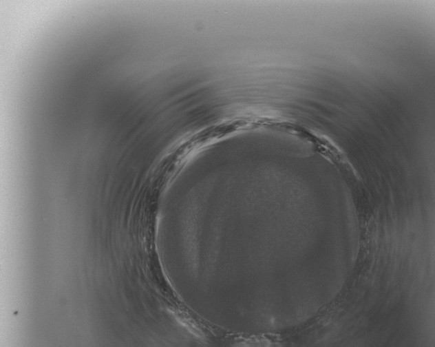 X0000080100919200612221735