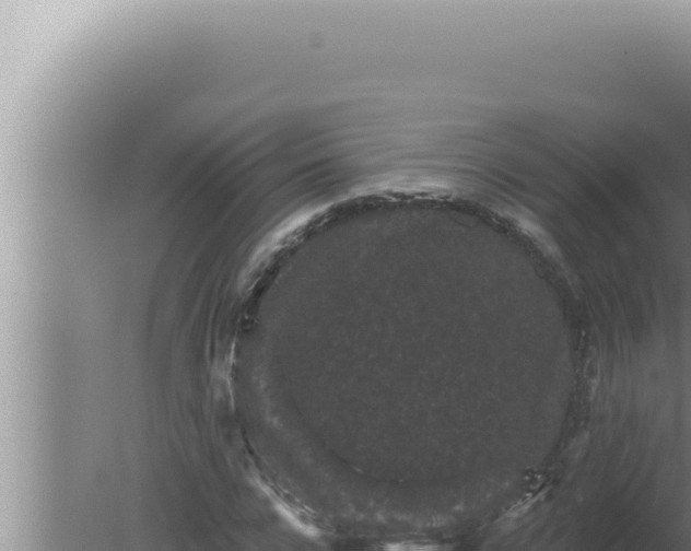 X0000080100920200612221735