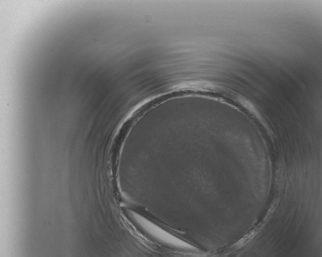 X0000080100923200612221735