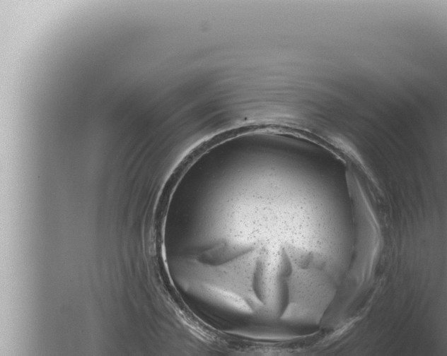 X0000080100924200612221735