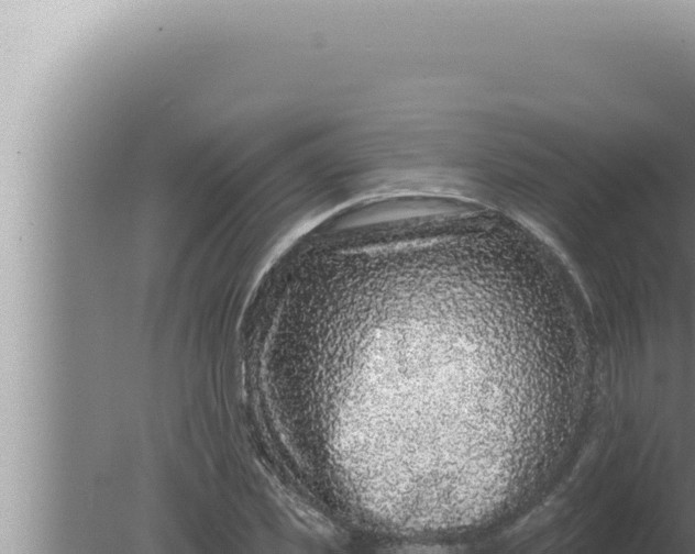 X0000080100925200612221735