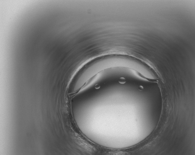 X0000080100926200612221735