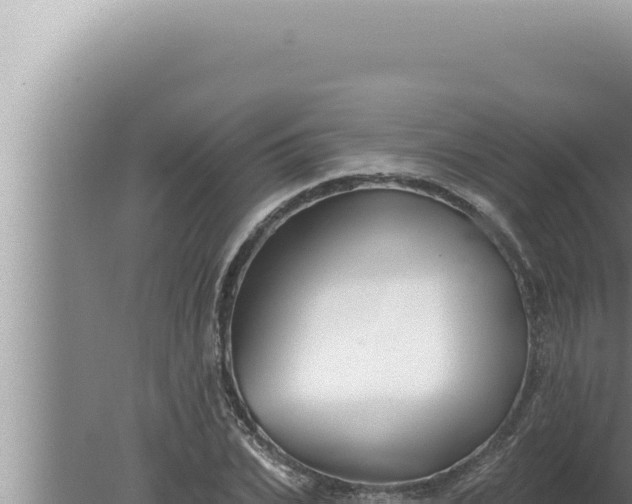 X0000080100927200612221735