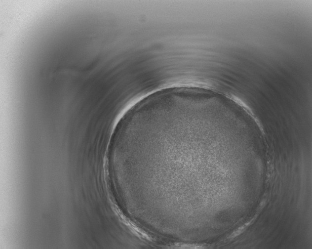 X0000080100928200612221735