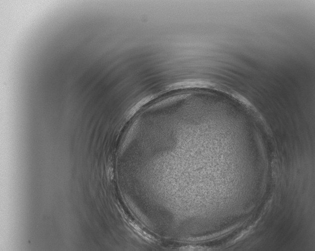 X0000080100929200612221735