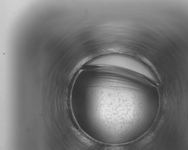 X0000080100930200612221735