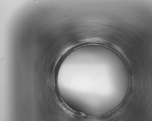 X0000080100931200612221735