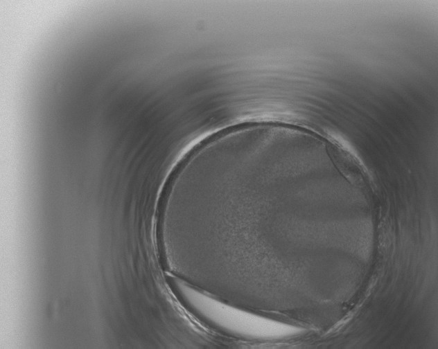 X0000080100932200612221735