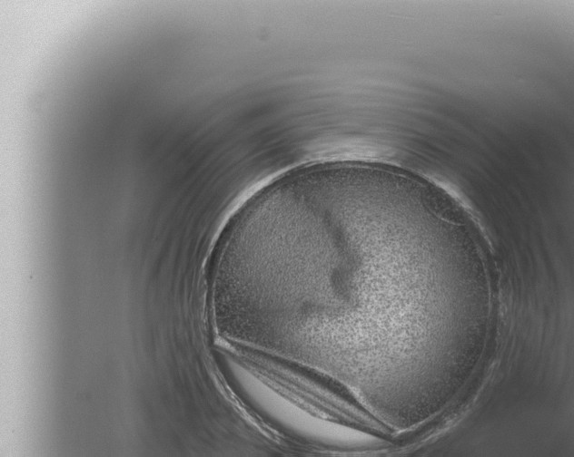 X0000080100933200612221735