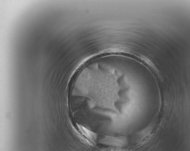 X0000080100934200612221735