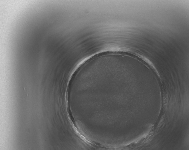 X0000080100935200612221735