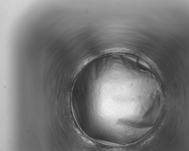 X0000080100937200612221735