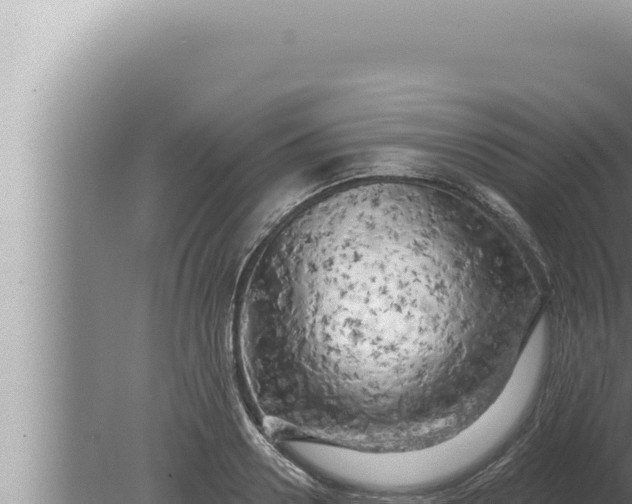 X0000080100938200612221735