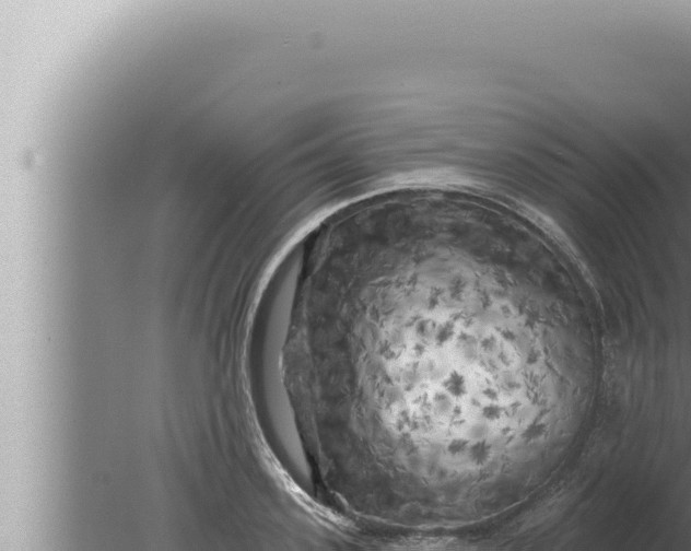 X0000080100939200612221735