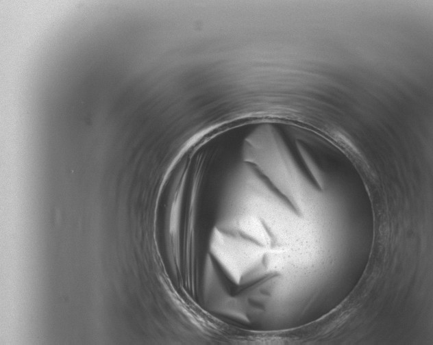 X0000080100940200612221735