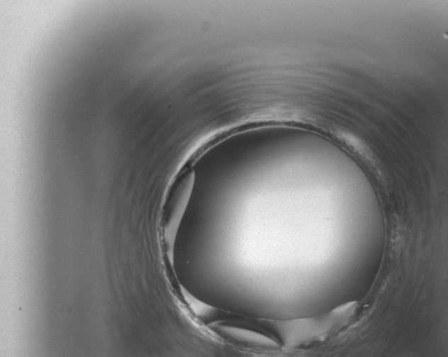 X0000080100942200612221735