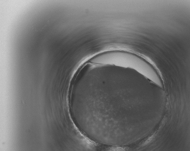 X0000080100943200612221735