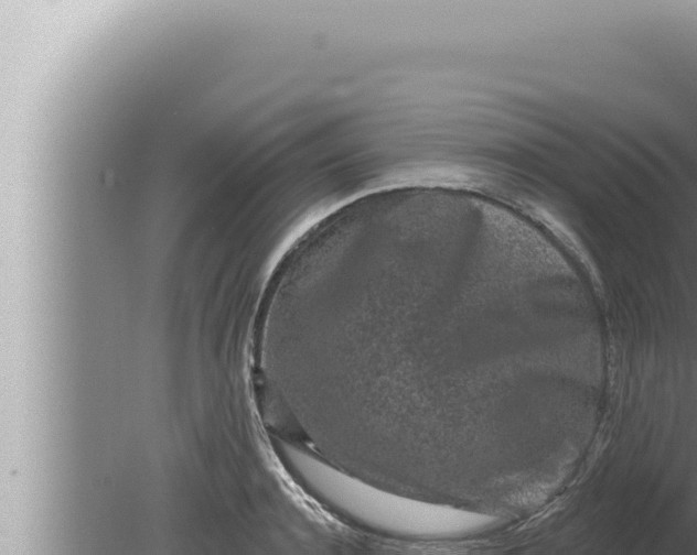 X0000080100944200612221735