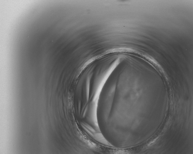 X0000080100945200612221735