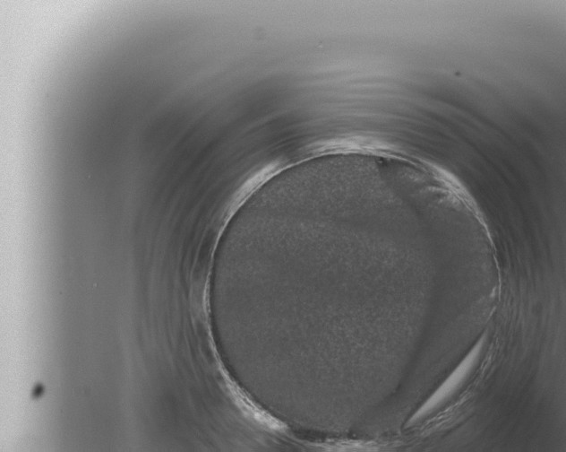 X0000080100946200612221735