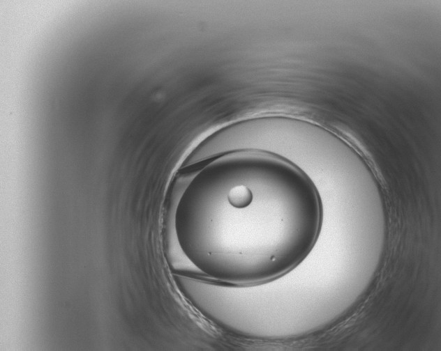 X0000080100948200612221735