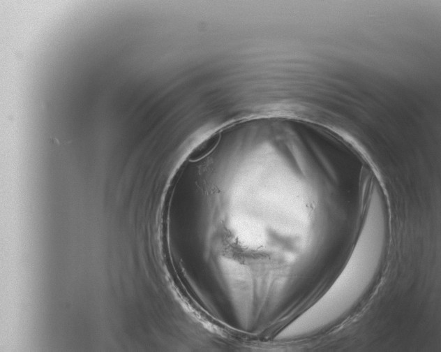 X0000080100949200612221735