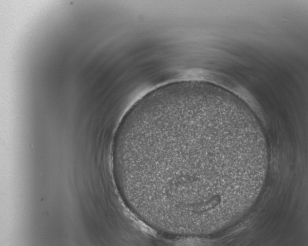 X0000080100950200612221735