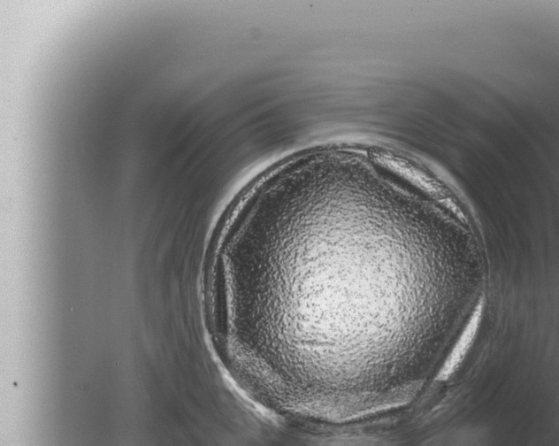 X0000080100951200612221735