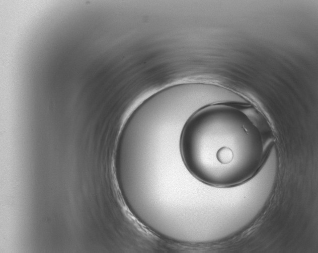 X0000080100952200612221735