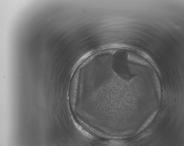 X0000080100954200612221735